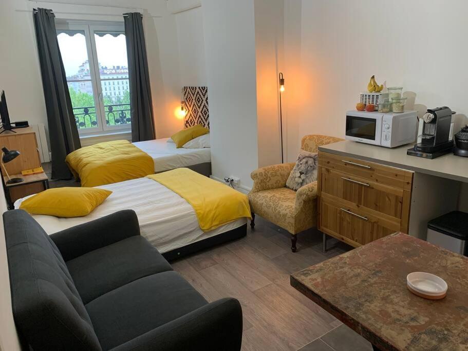 Chez Alam A L'Opera De Lyon Apartment ภายนอก รูปภาพ